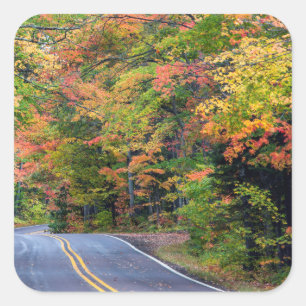 Herfst bladerdak van kleur langs Highway 41 2 Vierkante Sticker