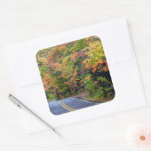 Herfst bladerdak van kleur langs Highway 41 2 Vierkante Sticker (Envelop)