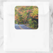 Herfst bladerdak van kleur langs Highway 41 2 Vierkante Sticker (Tas)
