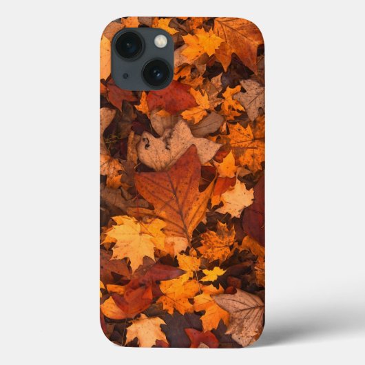 Herfst, bladeren, bladeren Case-Mate iPhone case (Achterkant)