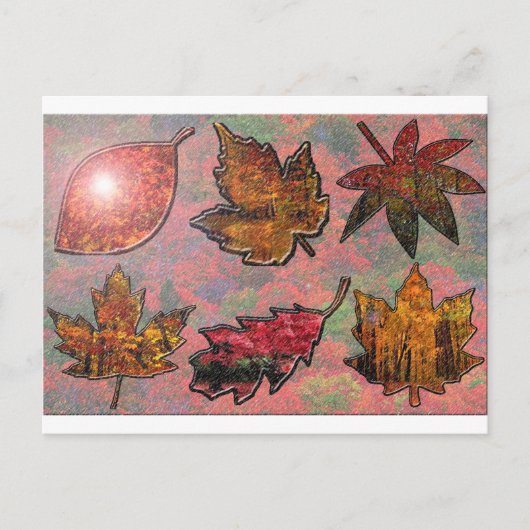 Herfst bladeren bladeren loof briefkaart (Voorkant)