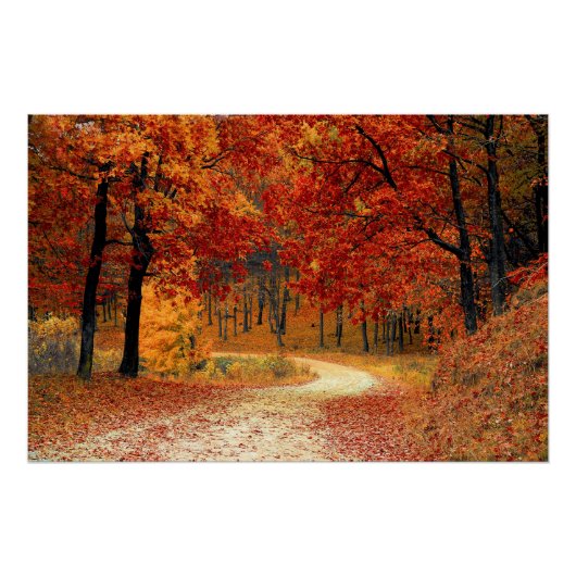 Herfst bladeren Bossen herfst bos bruiloft Perfect Poster (Voorkant)