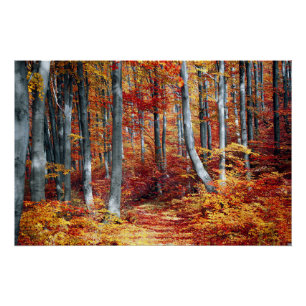 Herfst bladeren Bossen herfst bos bruiloft Perfect Poster