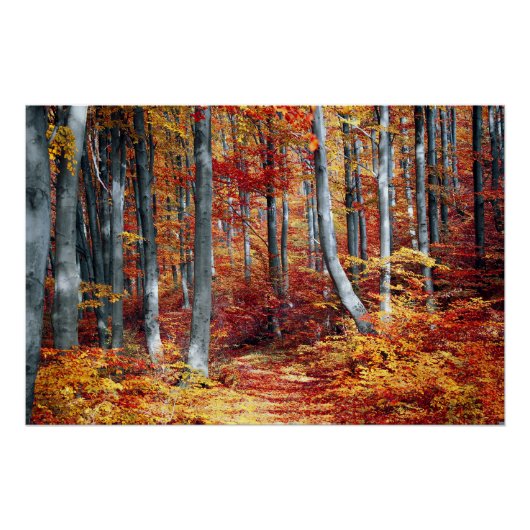 Herfst bladeren Bossen herfst bos bruiloft Perfect Poster (Voorkant)