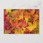 Herfst bladeren herfst kleuren bruiloft receptie informatiekaartje (Achterkant)