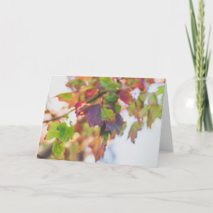 Herfst bladeren Kaart