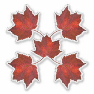Herfst bladeren rood blad vormen sticker