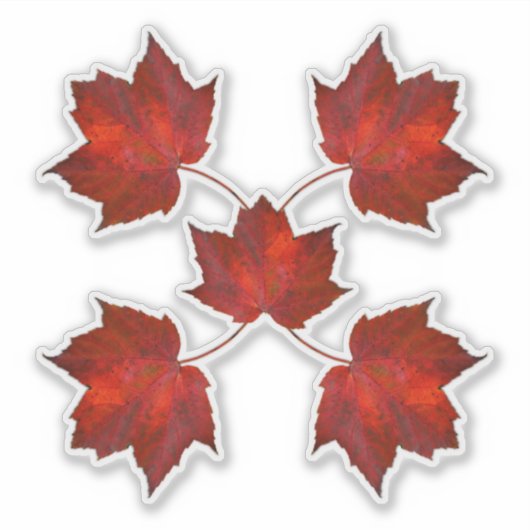 Herfst bladeren rood blad vormen sticker (Voorkant)