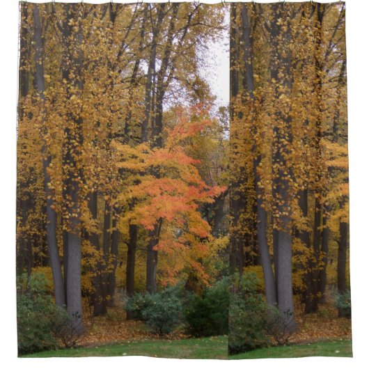 Herfst bladeren tulp populier bomen douchegordijn (Voorkant)