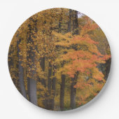 Herfst bladeren tulp populier bomen papieren bordje (Voorkant)