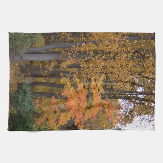 Herfst bladeren tulp populier bomen theedoek (Horizontaal)