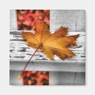 Herfst bladmagneet magneet