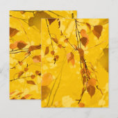 Herfst Blaves 3 Briefkaart (Voorkant / Achterkant)