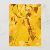 Herfst Blaves 3 Feestdagenkaart (Voorkant)