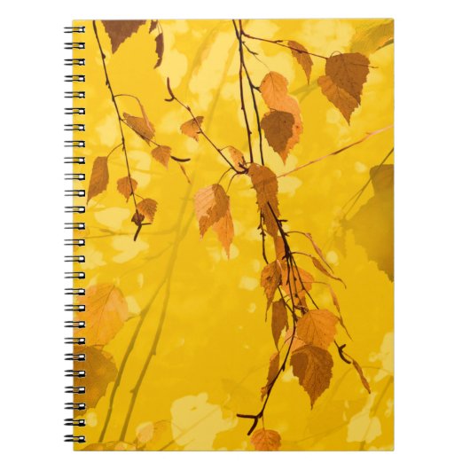Herfst Blaves 3 Notitieboek (Voorkant)