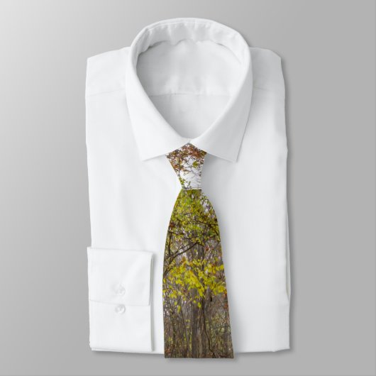 Herfst Bliss Tie Stropdas (Gebonden)