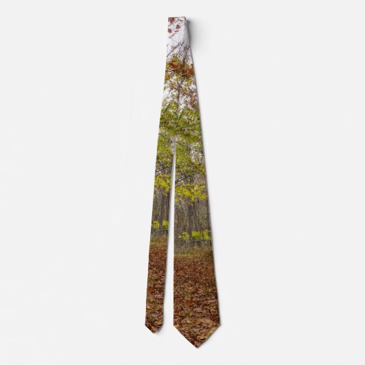 Herfst Bliss Tie Stropdas (Achterkant)