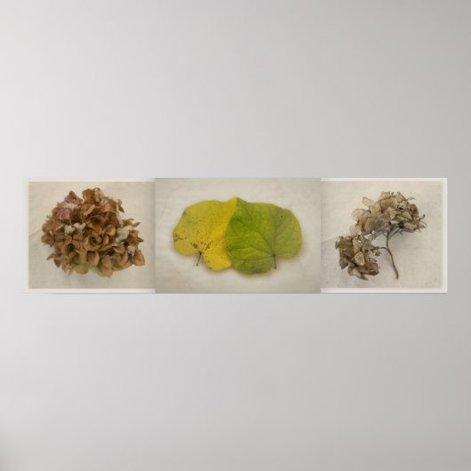herfst bloemen tryptich poster (Voorkant)