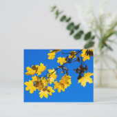 Herfst Blues Briefkaart (Staand voorkant)