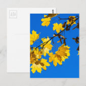 Herfst Blues Briefkaart (Voorkant / Achterkant)