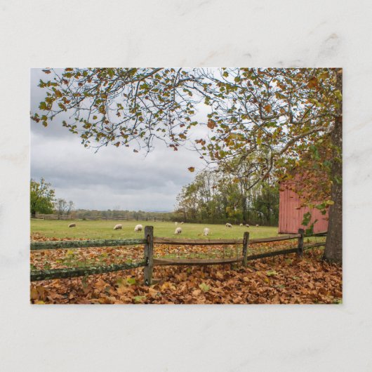 Herfst Boerderij Briefkaart (Voorkant)