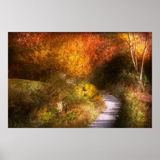 Herfst - Bomen - Hemelspad Poster (Voorkant)