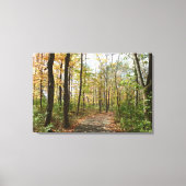 Herfst Bomen op Wandelpad Grote Canvas Print (Voorkant)