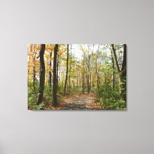 Herfst Bomen op Wandelpad Grote Canvas Print