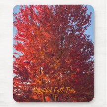 Herfst Boom Afbeelding |