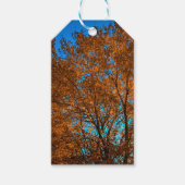 Herfst boom glinsterend in gouden cadeau Label Cadeaulabel (Voorkant)