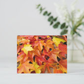 Herfst Boom laat postkaarten Colorful Autumn Leave (Staand voorkant)