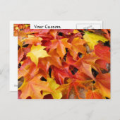 Herfst Boom laat postkaarten Colorful Autumn Leave (Voorkant / Achterkant)