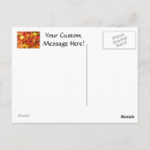 Herfst Boom laat postkaarten Colorful Autumn Leave (Achterkant)