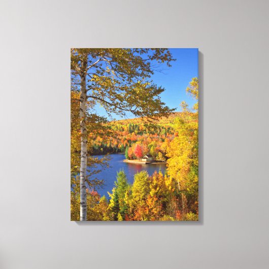 Herfst boom landschap, Maine Canvas Afdruk (Voorkant)