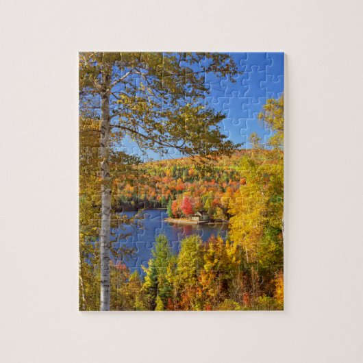 Herfst boom landschap, Maine Legpuzzel (Verticaal)