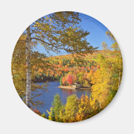 Herfst boom landschap, Maine Magneet (Voorkant)