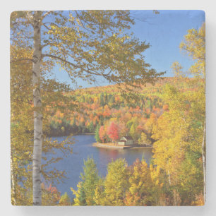 Herfst boom landschap, Maine Stenen Onderzetter