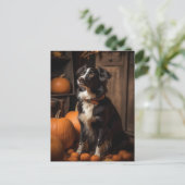 Herfst Border Collie en Pompoenen Briefkaart (Staand voorkant)