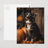 Herfst Border Collie en Pompoenen Briefkaart (Voorkant / Achterkant)