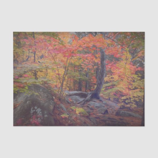 Herfst bos bomen rood oranje geel boslandschap tissuepapier (Voorkant)