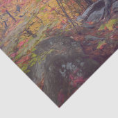 Herfst bos bomen rood oranje geel boslandschap tissuepapier (Detail)