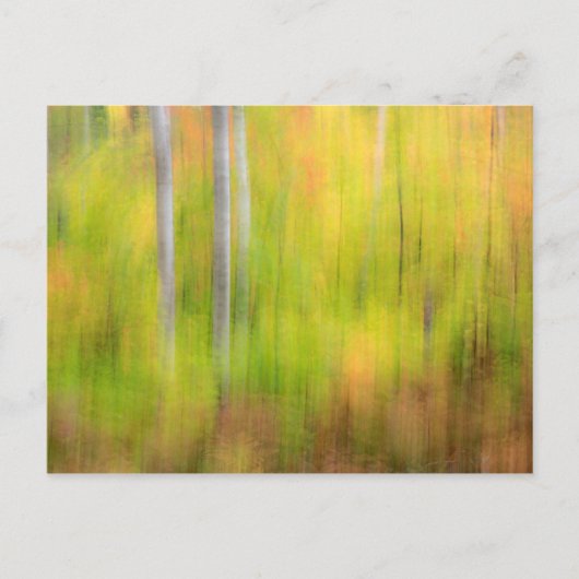 Herfst bos | Michigan, Upper Peninsula Briefkaart (Voorkant)