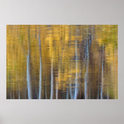 Herfst bos reflectie abstract poster (Voorkant)
