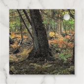 Herfst bos scène bedankjes labels (Achterkant)