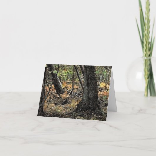 Herfst bos scène bedankkaart (Voorkant)