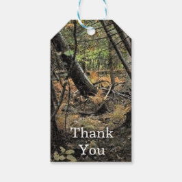 Herfst bos scène cadeaulabel