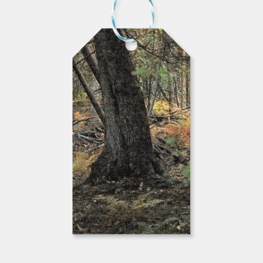 Herfst bos scène cadeaulabel (Achterkant)