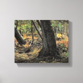Herfst bos scène canvas afdruk (Voorkant)