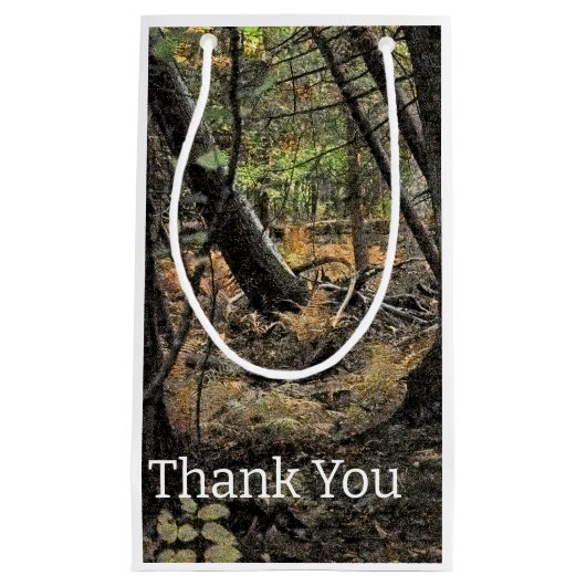 Herfst bos scène klein cadeauzakje (Voorkant)