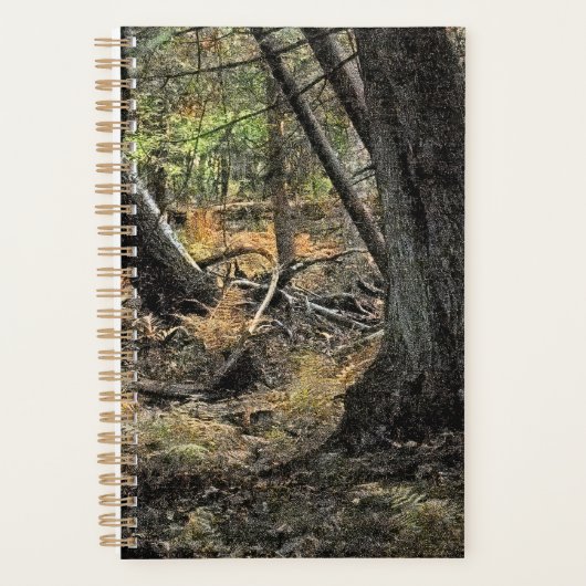 Herfst bos scène planner (Voorkant)
